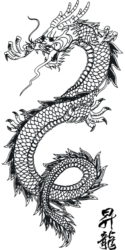 Awake Your Inner Dragon